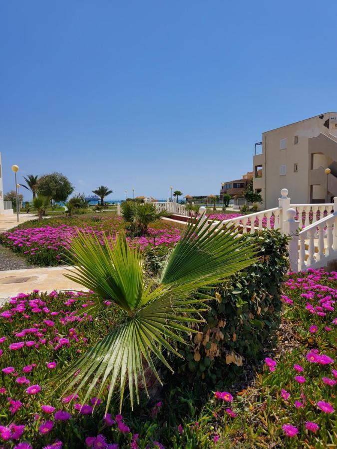 Duplex Espectacular En Primera Linea Naturista! Las Bombardas Екстериор снимка